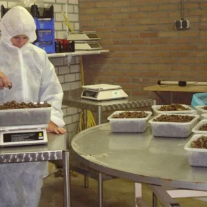 Sjamaan truffle production