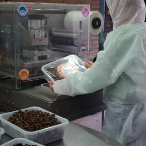 Sjamaan truffle production