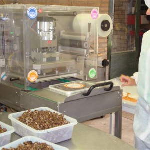 Sjamaan truffle production