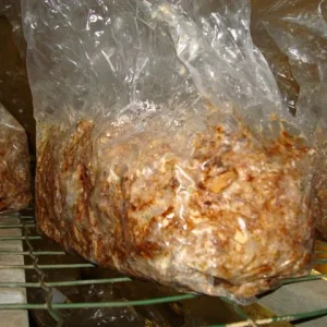 Media 'Sjamaan truffle production' in category 'Product photo's'