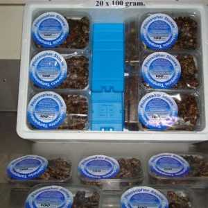 Sjamaan truffle production