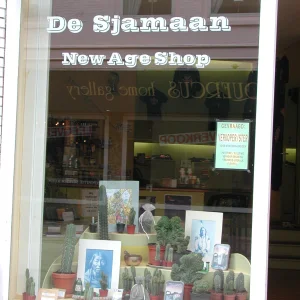 De Sjamaan 2001