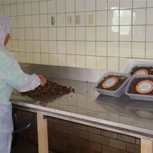 Sjamaan truffle production