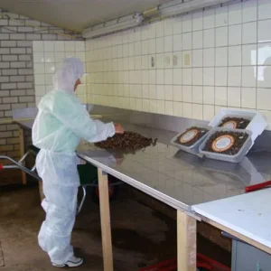 Sjamaan truffle production