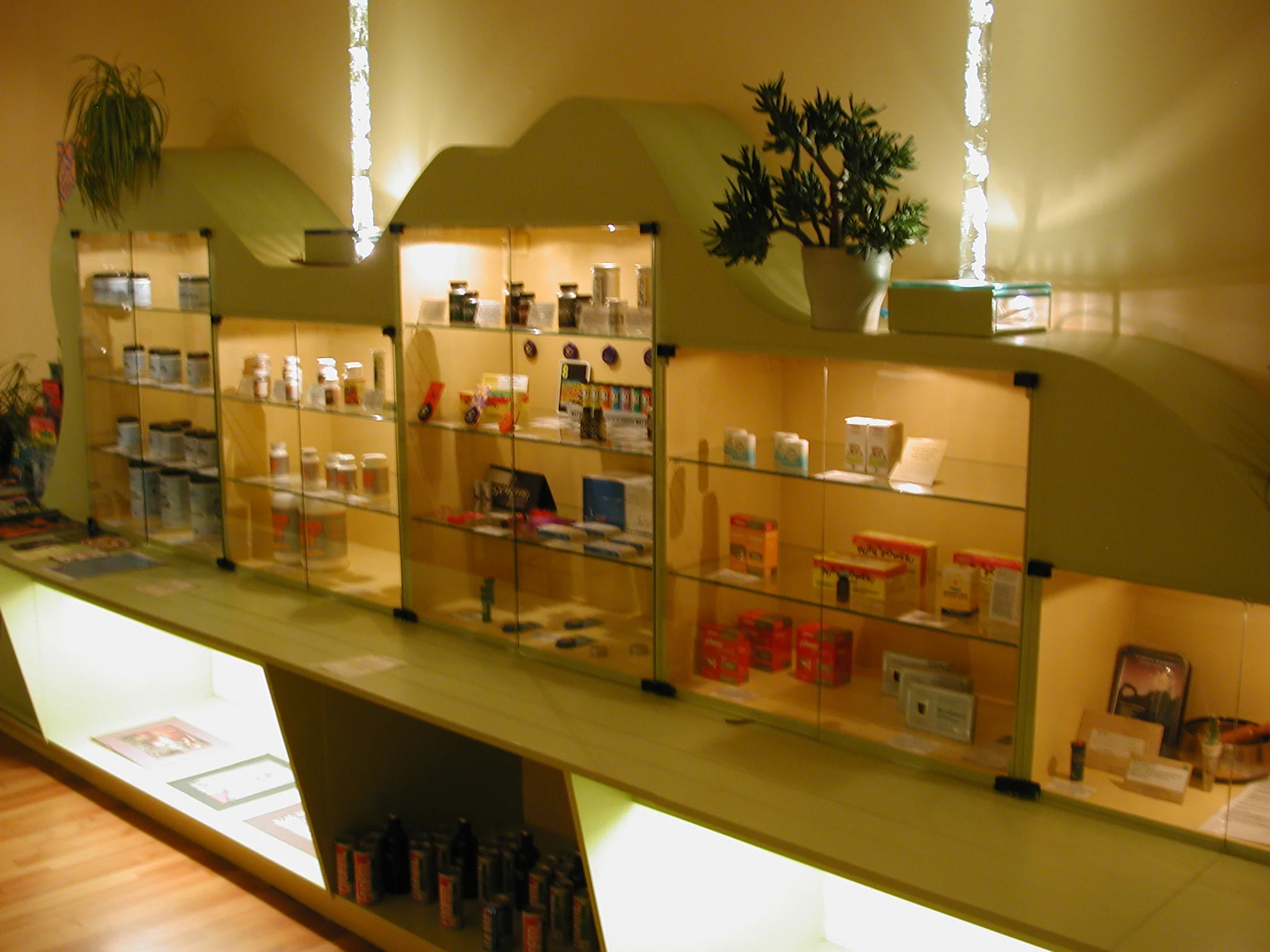 De Sjamaan Smartshop Arnhem 2000