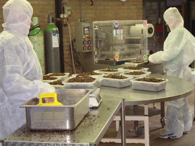 Sjamaan truffle production