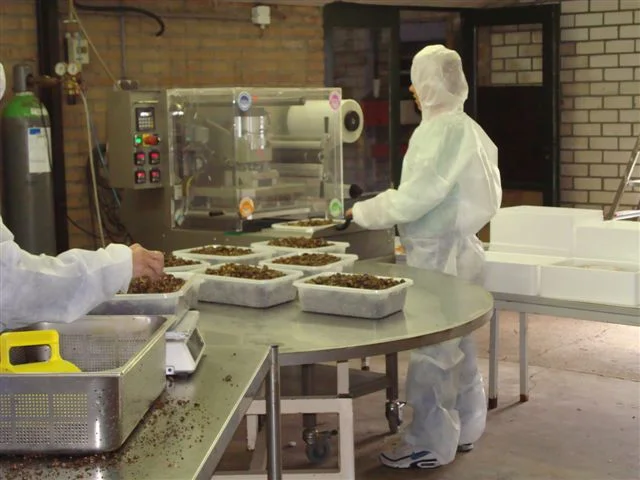 Sjamaan truffle production