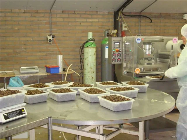 Sjamaan truffle production