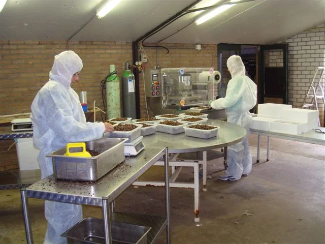 Sjamaan truffle production